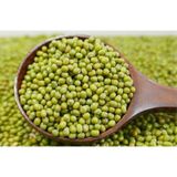 Eko Paket Fasulye Mung Bean Tohumu Fasulye Tohumu 40 Tohum+Hediye