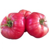 Eko Paket Nadir İri Pembe Domates Tohumu 65 Tohum +Hediye Tohum