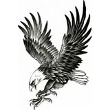 EkoAlışverişDünyam Kartal Geçici Dövme Şablonu Büyük Boy