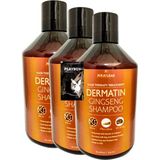 Ekobox Dermatin Uzun Güçlü Saç Besleme Ginsengli Özel Bakım Sampuani 500 ml X4 Shampooı + Hediye Jel - Paket