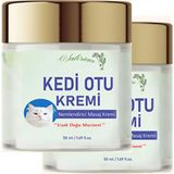 Ekobox Kedi Otu Kremi 50 ml Kafur Ağacı Yağlı Paincream 2 Adet - 1Paket
