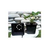 Ekodoğa 20 Adet 9X9X8 Cm Siyah Vakum Fide Saksısı