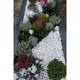 Ekodoğa 25 kg 1,5-2,5 cm Beyaz Dolomit Dekoratif Taş