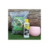 Ekodoğa 3'Lü Set Kaktüs Besini 225 Ml+ 3 Lt Toprağı+ 0 55 Pudra Pembe Saksısı Sıvı Gübresi