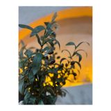 Ekodoğa 70 Cm Yapay Zeytin Dalı Yapay Çiçek Bitki Vazo Saksı Dekorasyon Zeytin Taneli Yapay Dal
