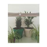 Ekodoğa Balkon Filesi 1,5X2,5 Metre Kedi Filesi Kuş Filesi Koruma Filesi Dolu Filesi Güvenlik Filesi