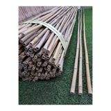 Ekodoğa Bambu Çubuk 180 Cm 30 Adet 14-16 Mm Bambu Çubuğu Bambu Çubukları Bitki Destek Çubuğu