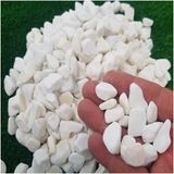 Ekodoğa Beyaz Dolomit Taş, 10 Kg, 1-2 cm, Dere Çakıl Taşı, Bahçe Süs Taşı, Saksı, Teraryum, Akvaryum