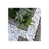 Ekodoğa Beyaz Dolomit Taş 15 Kg 4 6 Cm Dekoratif Bahçe Süs Taşı