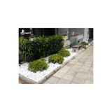 Ekodoğa Beyaz Dolomit Taş 20 Kg 2 5 4 Cm Dekoratif Bahçe Süs Taşı