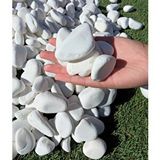 Ekodoğa Beyaz Dolomit Taş 25 Kg 2-4 Cm Dere Çakıl Taşı Bahçe Süs Taşı Saksı Teraryum Taşı Akvaryum Taşı