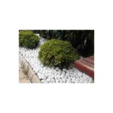 Ekodoğa Beyaz Dolomit Taş 25 Kg 4 6 Cm Dekoratif Bahçe Süs Taşı Loche
