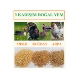 Ekodoğa Buğday Kırık Mısır Arpa Karışım 2 Kg Tavuk Yemi Kanatlı Kaz Doğal Yem Kümes