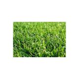 Ekodoğa Çim Tohumu 500 Gr 4 Karışım Çim Tohum Basmaya Dayanıklı Çim Tohumu Susuzluğa Dayanıklı Bahçe Çim