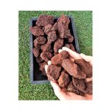 Ekodoğa Dekoratif Pomza Taşı 4 Kg 5 10 Cm Bahçe Dekor Kırmızı Tarım Pomzası Lav Cüruf Ponza