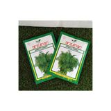 Ekodoğa Dere Otu Tohumu 2 Paket 20 Gr (12000 Adet) Dereotu Tohumu Sebze Tohumu Sebze Tohumları