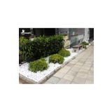 Ekodoğa Dolomit Beyaz 15 kg 2.5-4 cm Dekoratif Taş
