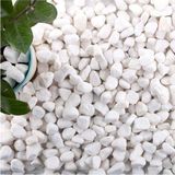 Ekodoğa Dolomit Taş 15 kg 1-2 cm Beyaz Saksı Dibi Dekoratif Teraryum Taşı Bahçe - 0 - 19 lt - Çok Renkli