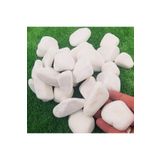 Ekodoğa Dolomit Taş 25 Kg 2-4 Cm Beyaz Dolomit Taş Saksı Dibi Dekoratif Taş Bahçe Süsleme Taşı Peyzaj Taşı