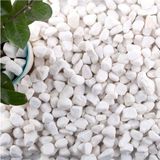 Ekodoğa Dolomit Taş 5 kg 1 2 cm Beyaz Saksı Dibi Dekoratif Teraryum Taşı Bahçe 101 x 200 - Genel - Çok Renkli