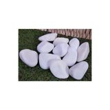 Ekodoğa Dolomit Taş Beyaz 25 Kg 6 10 Cm Dere Taşı Çakıl Bahçe Süs Dolamit Dekoratif Loche X
