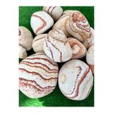 Ekodoğa Dolomit Taş Sarı Çizgili 25 Kg 6-10 Cm Bahçe Süs Taşı