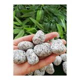 Ekodoğa Granit Dolomit Taş 25 Kg 2 5 4 Cm Siyah Beyaz Dekoratif Bahçe Taşı Dekor