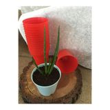 Ekodoğa Kaktüs Saksısı 5 5X5 Cm 50 Adet Kırmızı Sukulent Üretim Plastik Saksı Renkli