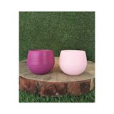 Ekodoğa Kaktüs Sukulent Saksısı 2 Adet 0 13 Lt Renkli Mini Küçük Bitki Vişne Pudra Pembe