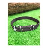 Ekodoğa Köpek Tasması Siyah 60 Cm Küçük Çapı 15 17 Tasma Gri