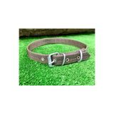 Ekodoğa Köpek Tasması Yeşil 60 Cm Küçük Köpek Tasması Çapı 15-17 Cm Köpek Tasma