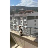 Ekodoğa Kuş Filesi 2x8,5 m Balkon Filesi Kedi Filesi Misina File Balkon Ağı Kuş Önleme Filesi Koruma Filesi