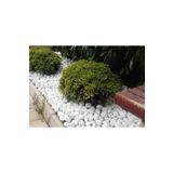 Ekodoğa Loche Dolomit Beyaz 25 kg 4-6 cm Dekoratif Taş