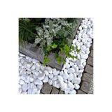 Ekodoğa Loche No.6 Beyaz Dolomit 50 kg 4-6 cm Dekoratif Taş
