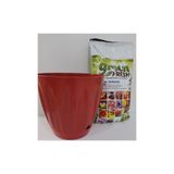 Ekodoğa Papatya Saksı 1 Adet 12 Litre 35X32 Cm Alana 10 Torf Hediye Renkli Plastik Kırmızı