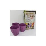 Ekodoğa Papatya Saksı 3 Adet 0 7 Lt 11 5X11 Cm Alana Litre Torf Hediye Renkli Plastik Mor