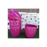 Ekodoğa Papatya Saksı 5 Adet 1,5 Lt Vişne Renkli Saksı Plastik Saksı Çiçek Saksısı Tabaklı Saksı