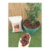 Ekodoğa Pomza Taşı 3 Lt 1 2 Cm Dekoratif Kırmızı Tarım Pomzası Lav Cüruf Ponza