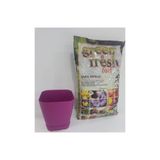 Ekodoğa Safir Saksı 0,8 Lt 10,9X10 Cm Saksı Alana 3 Litre Torf Hediye Vişne Renkli Saksı Plastik Saksı