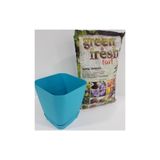 Ekodoğa Safir Saksı 1,8 Lt 14X13 Cm Saksı Alana 3 Litre Torf Hediye Turkuaz Renkli Saksı Plastik Saksı