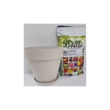 Ekodoğa Saksı 10 L 28X26 Cm Saksı Alana 10 L Torf Krem Renkli Saksı