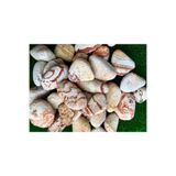 Ekodoğa Sarı Çizgili Dolomit Taş, 15 kg, 2,5-4 cm, Dekoratif Bahçe Taşı