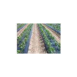 Ekodoğa Sebze Naylonu 50 Metre Eni 120 Cm Malç Naylonu Sebze Örtüsü Malç Örtüsü Siyah Domates Karpuz Naylonu