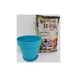 Ekodoğa Yalı Saksı 1 7 Lt 16X14 5 Cm Alana 3 Litre Torf Hediye Turkuaz Renk Renkli Plastik 7010