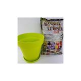 Ekodoğa Yalı Saksı 3 Lt 19X17.5 Cm Saksı Alana 3 Litre Torf Hediye Fıstık Yeşili Renkli Saksı Plastik Saksı