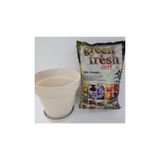 Ekodoğa Yalı Saksı Saksı Alana 3 Lt 19X17.5 Cm