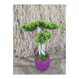 Ekodoğa Yapay Bonsai Ağacı, 35 cm, Mor Saksıda, Gerçek Dekoratif Gövde