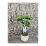 Ekodoğa Yapay Bonsai Ağacı, 35 cm, Sarı Saksıda, Gerçek Dekoratif Gövde