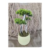 Ekodoğa Yapay Bonsai Ağacı, 40 cm, Gerçek Doğal Gövde, Sarı Saksıda