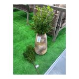 Ekodoğa Yapay Yeşillik Dekorasyon Saksı Vazo Bitkisi, 30-50 cm, Yeşil